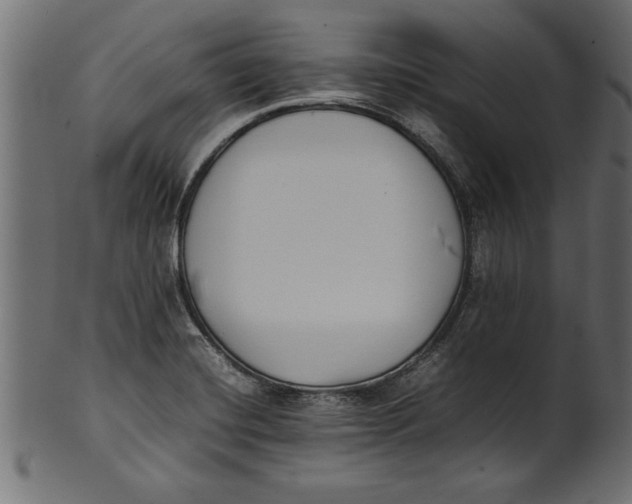 X0000101221420200807181541
