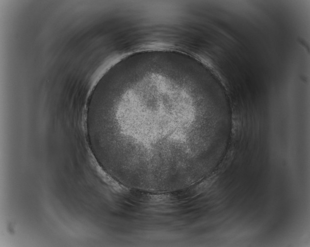 X0000101221421200807181541
