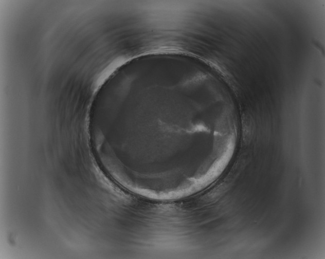 X0000101221422200807181541