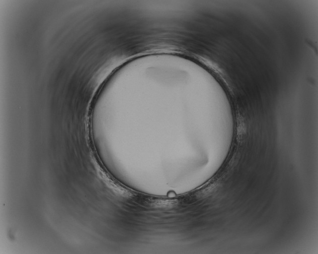 X0000101221423200807181541