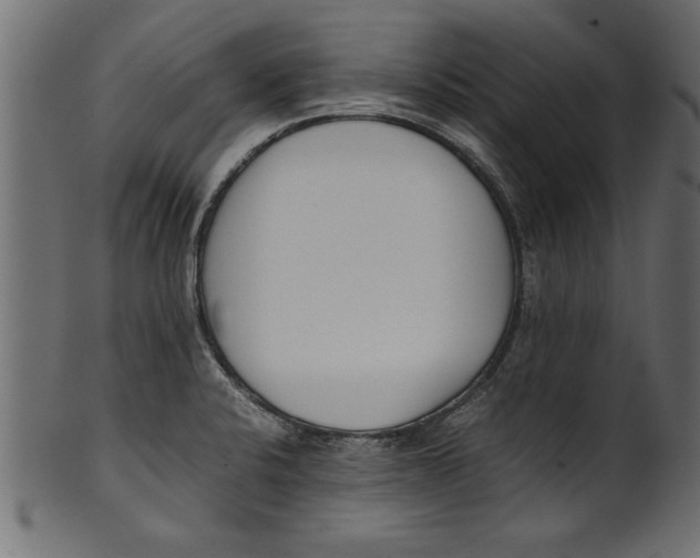 X0000101221424200807181541