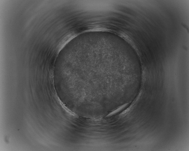X0000101221425200807181541