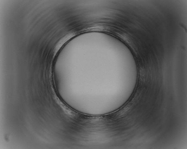 X0000101221426200807181541