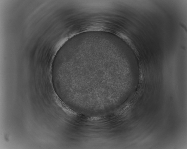 X0000101221427200807181541