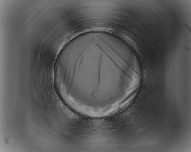 X0000101221428200807181541