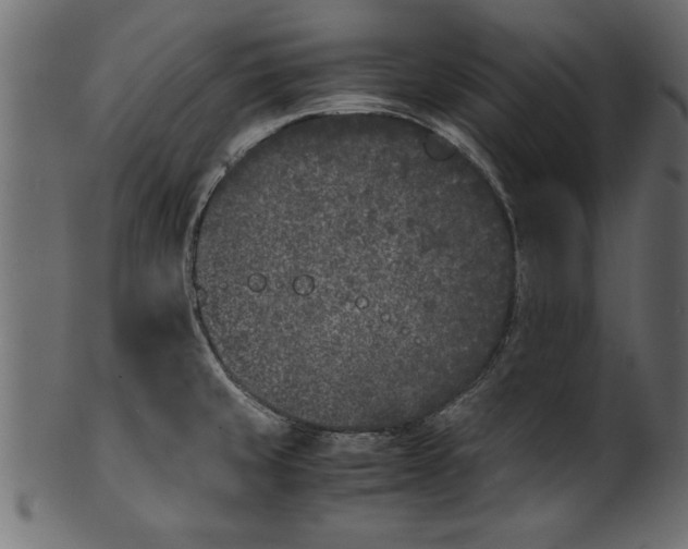 X0000101221429200807181541