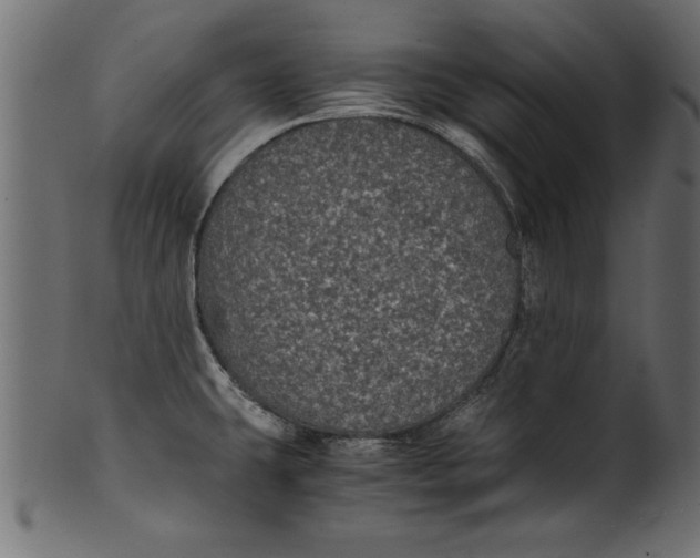 X0000101221431200807181541