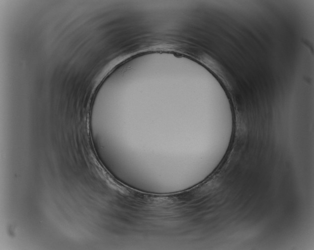 X0000101221436200807181541