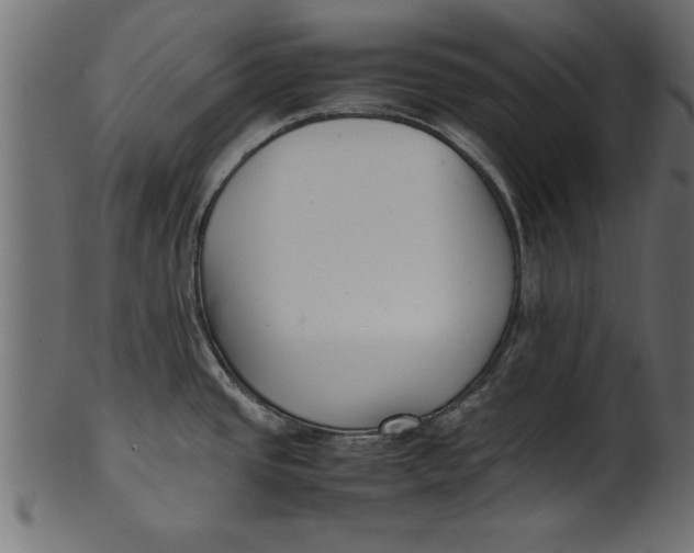 X0000101221437200807181541
