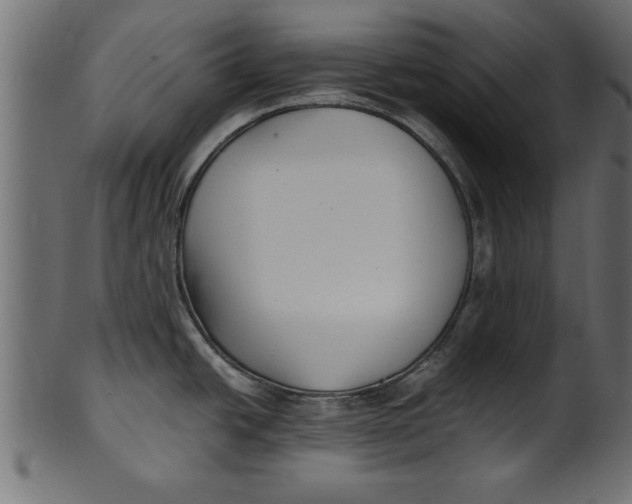 X0000101221438200807181541