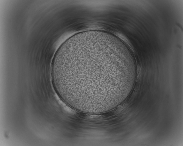 X0000101221439200807181541