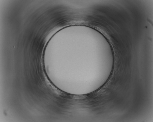 X0000101221440200807181541