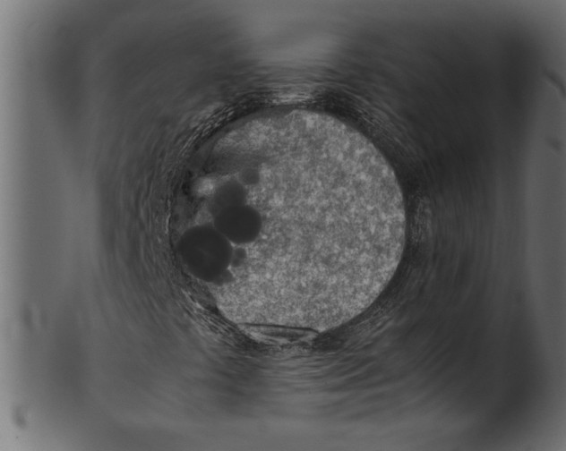 X0000101221441200807181541