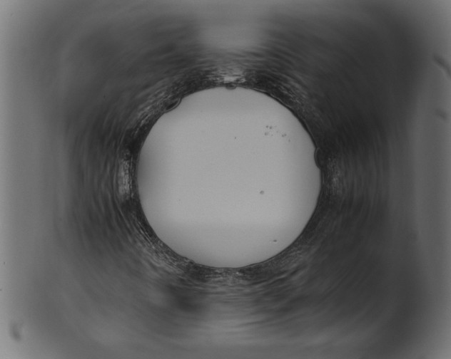 X0000101221442200807181541