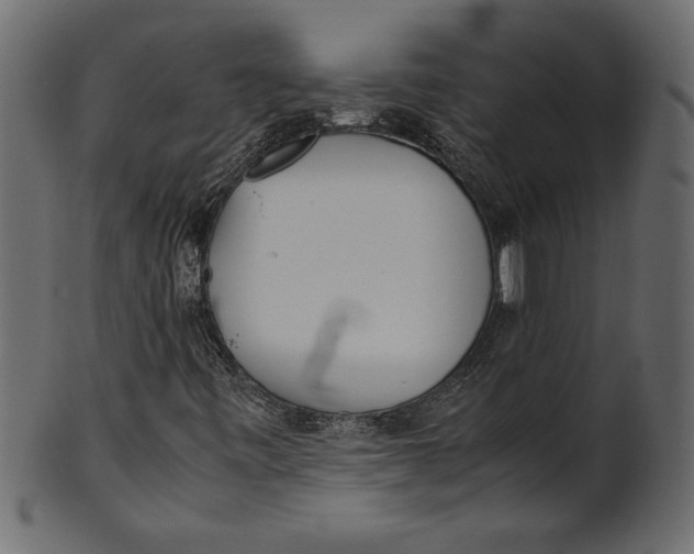 X0000101221443200807181541