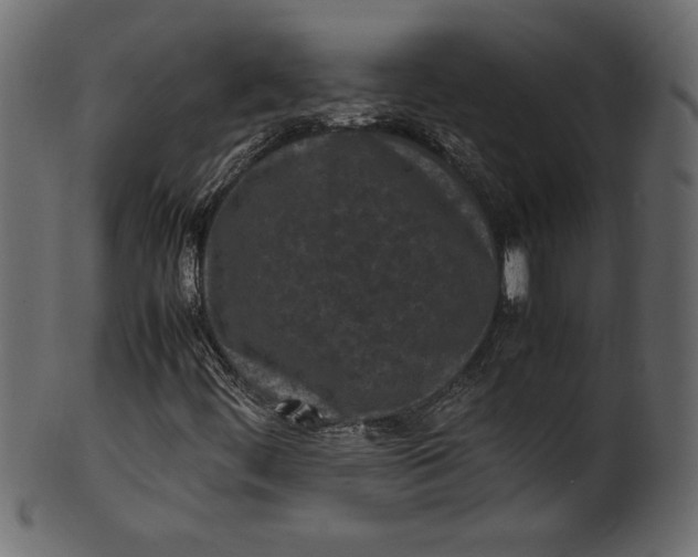 X0000101221444200807181541
