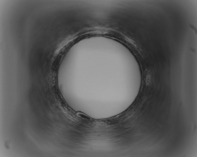 X0000101221448200807181541