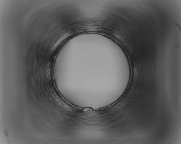 X0000101221450200807181541