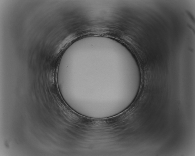 X0000101221451200807181541