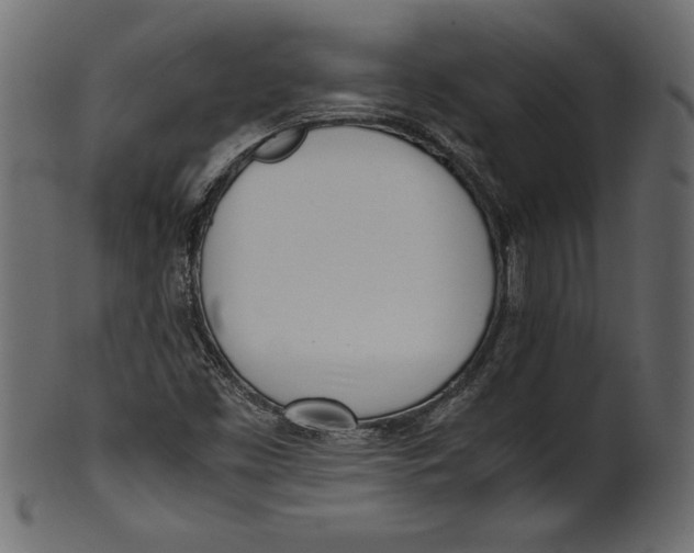 X0000101221453200807181541