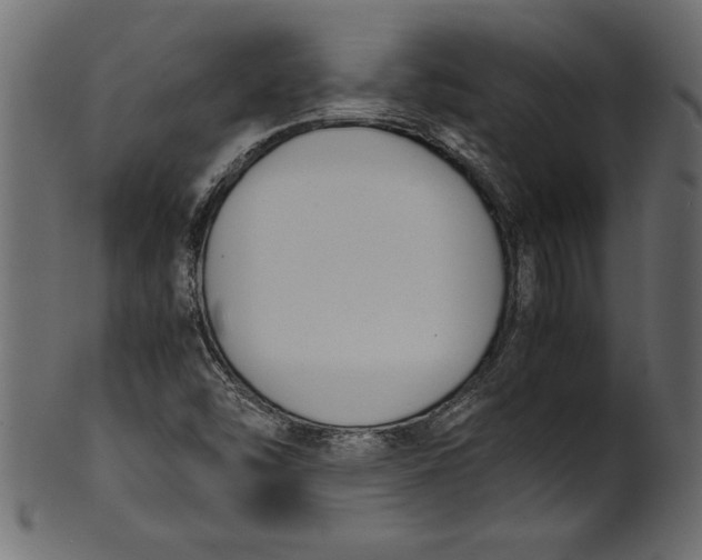 X0000101221454200807181541