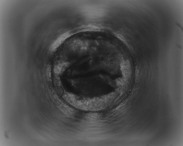 X0000101221455200807181541