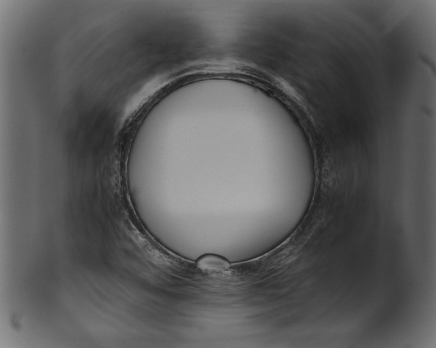 X0000101221456200807181541