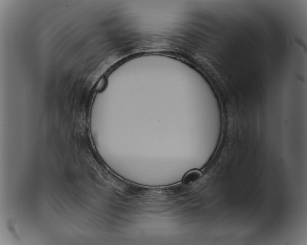 X0000101221457200807181541