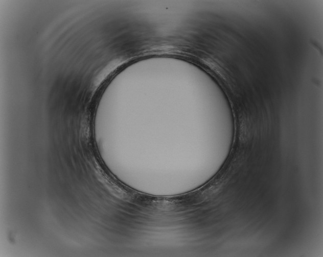 X0000101221458200807181541