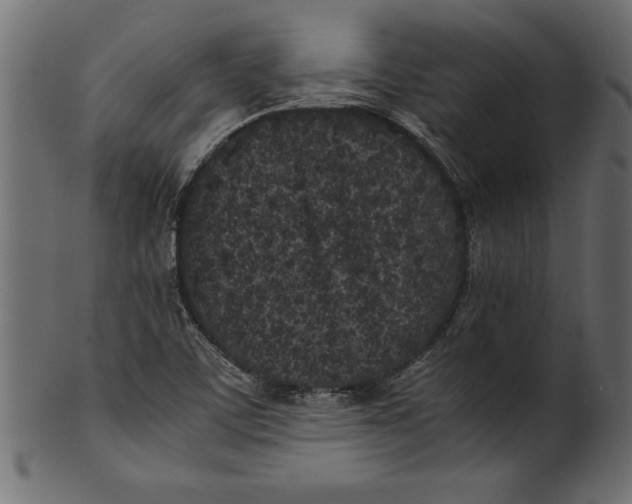 X0000101221459200807181541