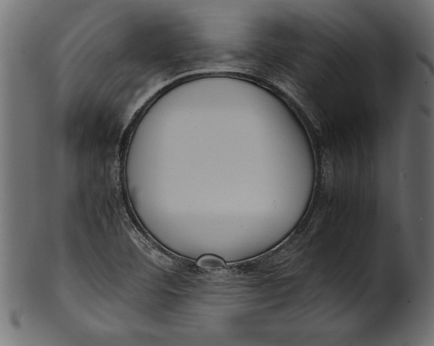 X0000101221460200807181540