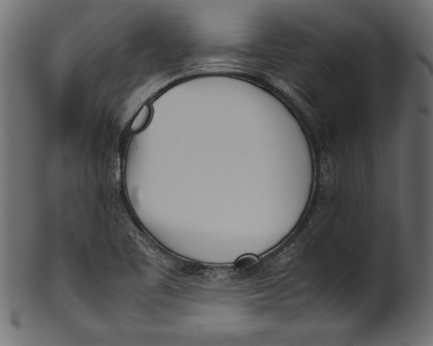 X0000101221461200807181540