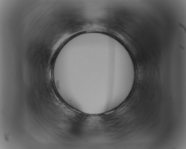 X0000101221462200807181540