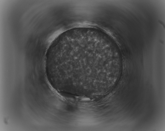 X0000101221463200807181540
