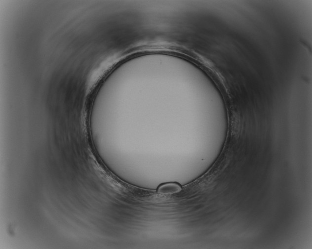 X0000101221464200807181540