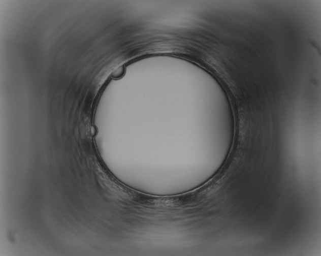 X0000101221465200807181540