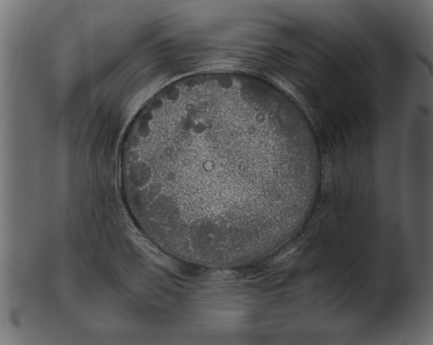 X0000101221467200807181540