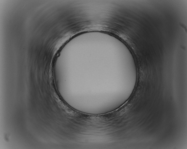 X0000101221469200807181540
