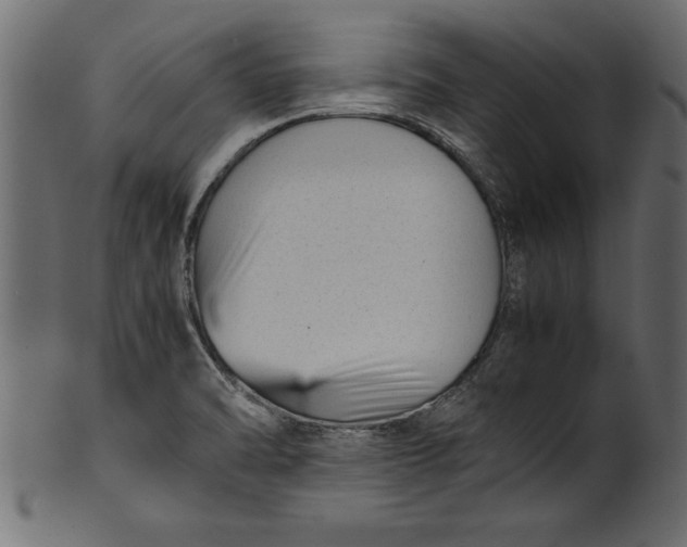 X0000101221470200807181540