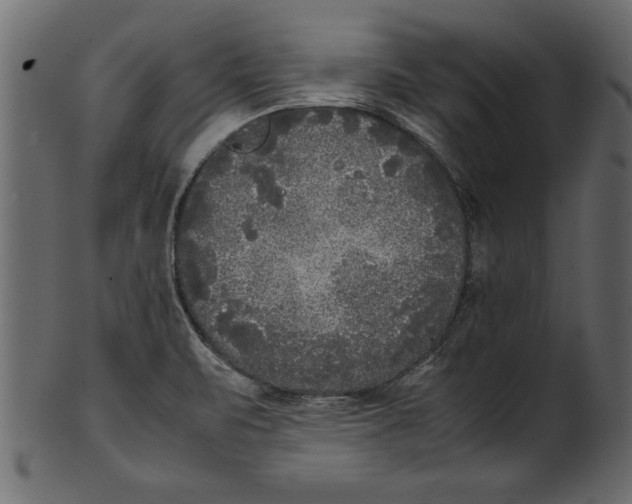 X0000101221471200807181540