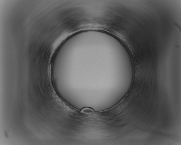X0000101221472200807181540