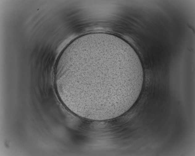 X0000101221474200807181540