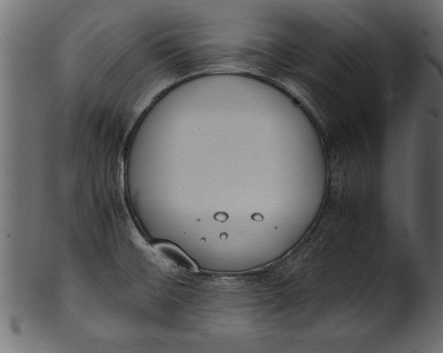 X0000101221476200807181540