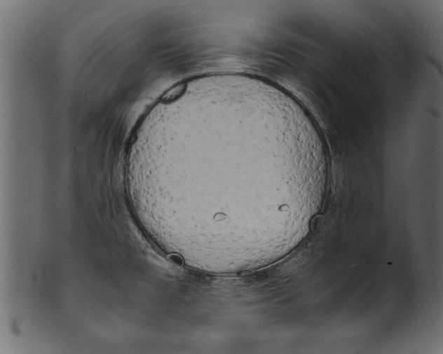 X0000101221477200807181540