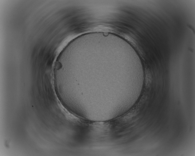 X0000101221478200807181540