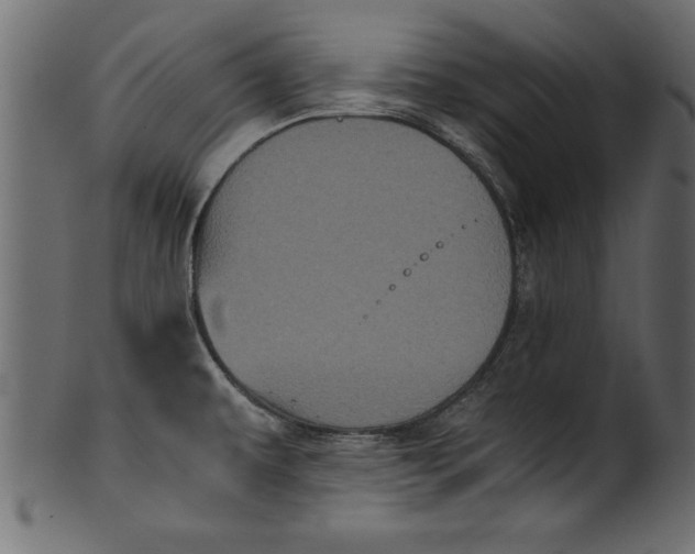 X0000101221479200807181540