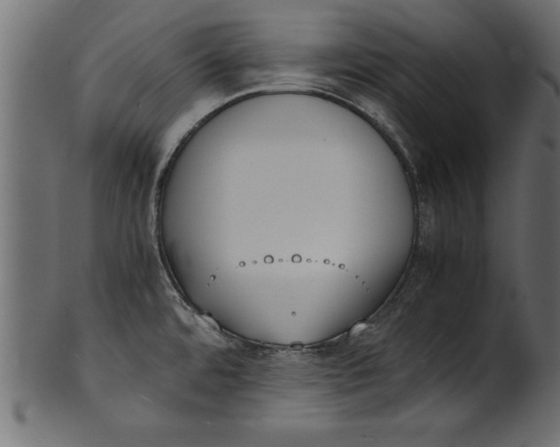 X0000101221480200807181540