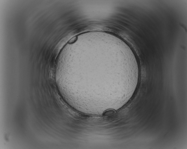 X0000101221481200807181540