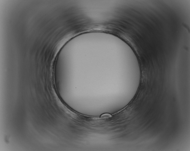 X0000101221483200807181540