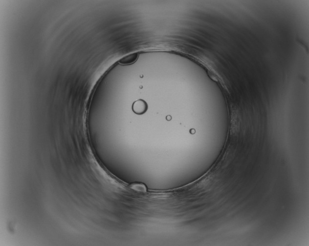 X0000101221484200807181540